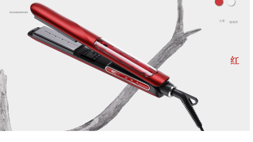 Steam Hair Straightener ZY-01